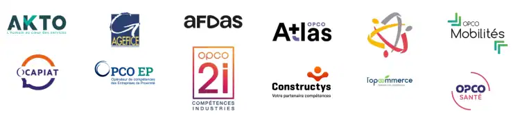 Certificat de bilan compétences et coaching pour entreprise, formation professionnelle, développement personnel.